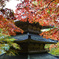 高源寺　三重塔3