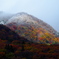 紅葉と雪のコラボ2