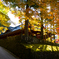 The dawn of fall