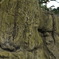宇美八幡にて