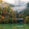 平岡　羽衣崎の紅葉