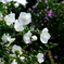 0A980FA5-58BD-410F-A682-9F0886ABEA9E-167