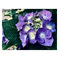40CB4255-C297-49CC-A216-4F1268E5F797