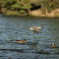 みやま公園にて