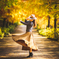 shall we dance ?