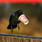 hungry・・・?