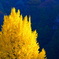 E731539B-0BDF-4914-9B23-F1898E9FF66A