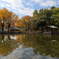 公園の秋