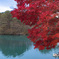 毘沙門沼紅葉