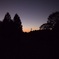 森の夕暮れ
