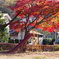 秋の公園