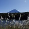 精進湖畔にて