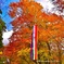 大山の紅葉（大山寺参道にて）2
