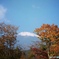 富士山 と 紅葉