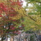 会津城　紅葉４