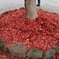 五色沼　紅葉３