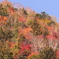 日光の紅葉