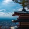 山梨日帰り旅-有名な場所巡り-