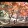 紅葉はどこ？