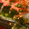 談山神社で吹く神風