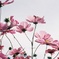 E2C90C52-5C22-4694-B904-27E948CFCF8C