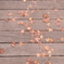 紅葉。橋桁の落ち葉
