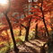 花筐公園3