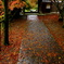丹波紅葉円通寺