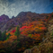 岩場の紅葉