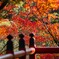 佇む紅葉
