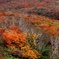 栗駒山