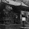 子の神氷川神社
