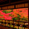 主屋二階より眺める庭園　(津和野 旧堀氏庭園)