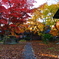 東桂苑カフェ