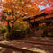 赤くなった常寂光寺。