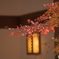 門前