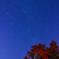 星紅