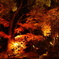 竈門神社