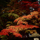 長野市清水寺の紅葉③