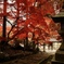 長野市清水寺の紅葉①