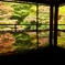 瑠璃光院の秋