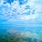 海
