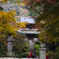 観光お断り雲厳寺