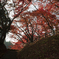 佐久山御殿山公園