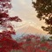 新倉山浅間公園