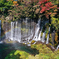 白糸の滝　.3