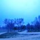 foggy day