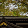 大國魂神社