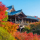 東福寺 通天橋