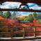 東福寺 通天橋から